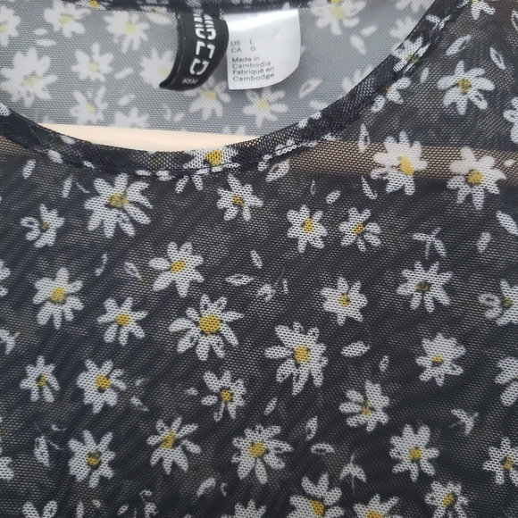 Divided sheer daisy print crop top - Picture 4 of 5